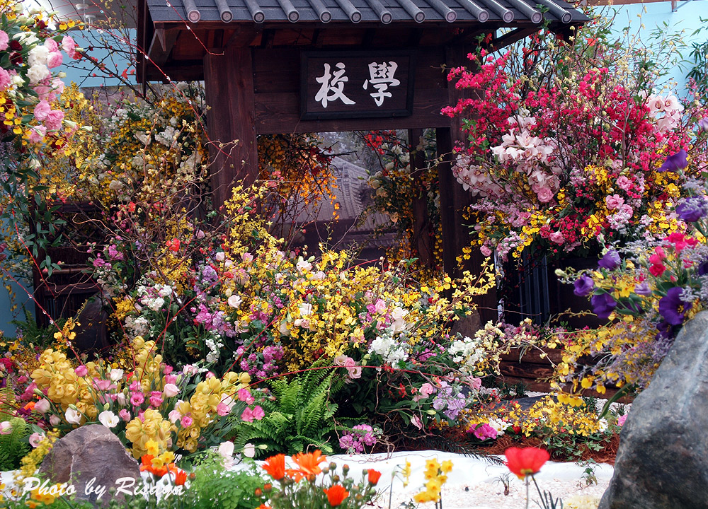 e0072638_1502571.jpg