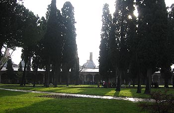 d0039443_13432415.jpg