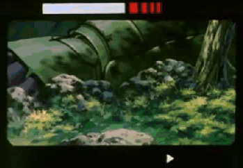 e0107543_136297.gif
