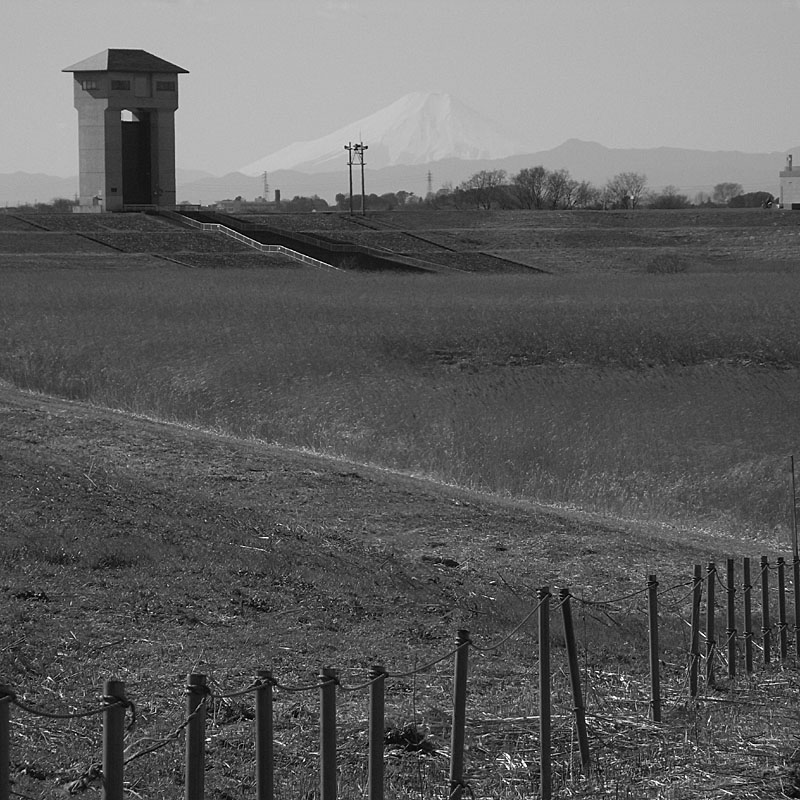 f0184244_735476.jpg