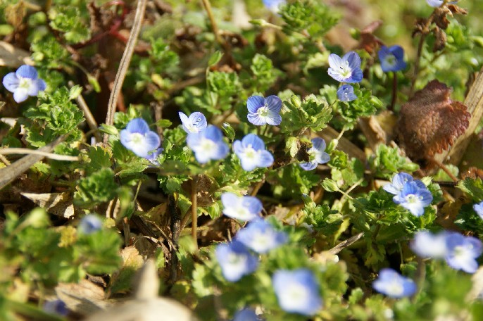 b0140347_20152885.jpg