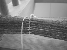 c0047449_23302669.jpg