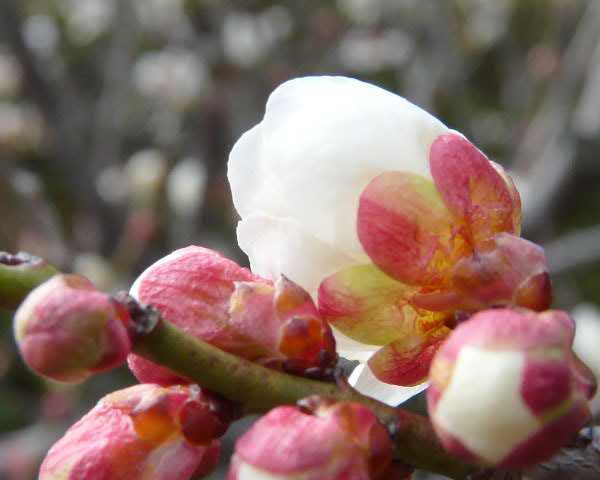e0017051_061423.jpg