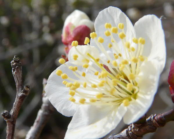 e0017051_062829.jpg