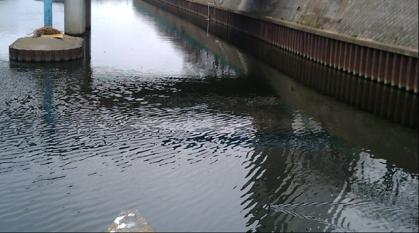 f0150151_10113267.jpg