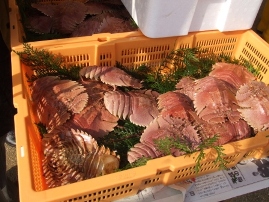 c0081552_1243218.jpg