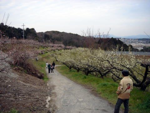 e0083155_21382969.jpg