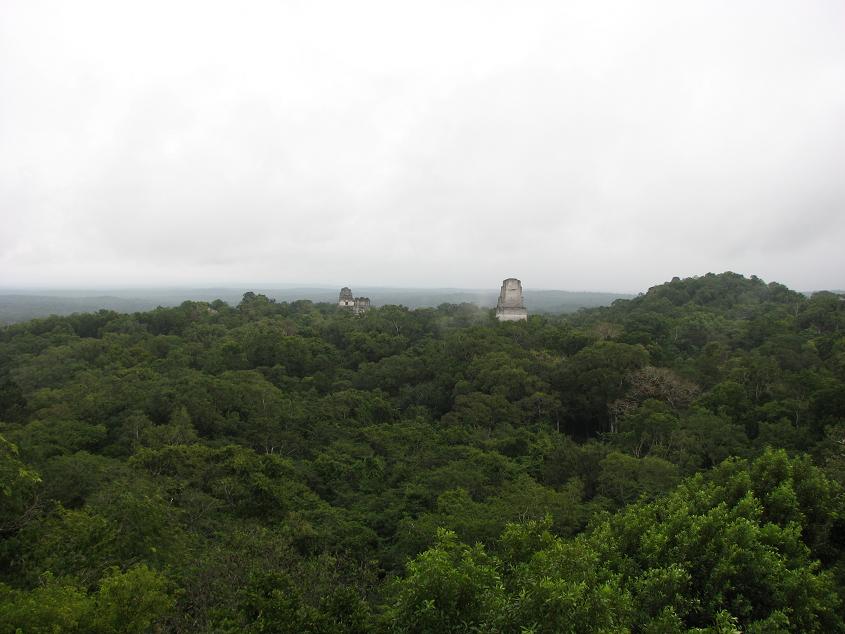 f0065556_23231057.jpg