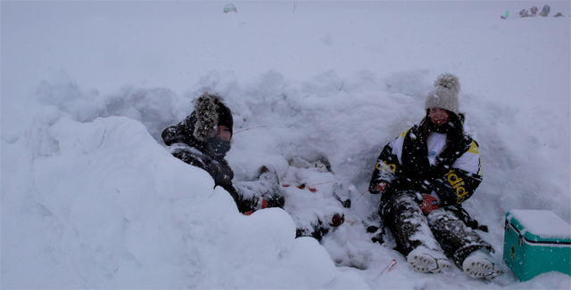 f0163063_16564086.gif