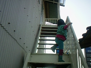 f0142668_4474948.jpg