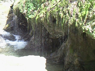 f0142668_584519.jpg