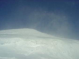 f0036269_9145497.jpg