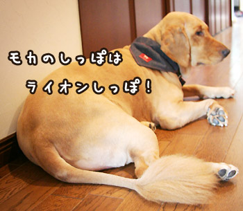 a0118270_15114631.jpg
