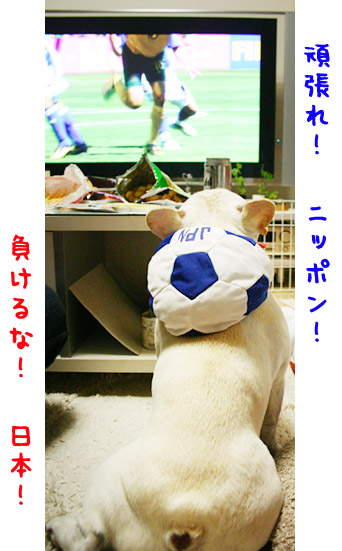 a0118270_9375011.jpg