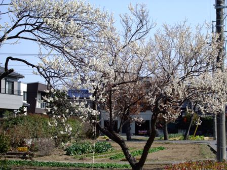c0078480_23533357.jpg