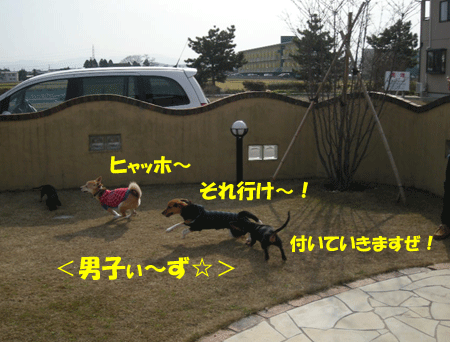e0066883_18325156.gif