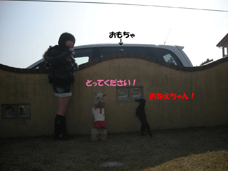 e0066883_19121293.gif