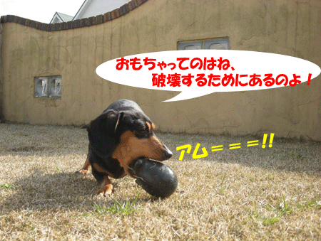 e0066883_19141581.gif