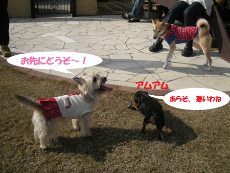 e0066883_1928360.gif