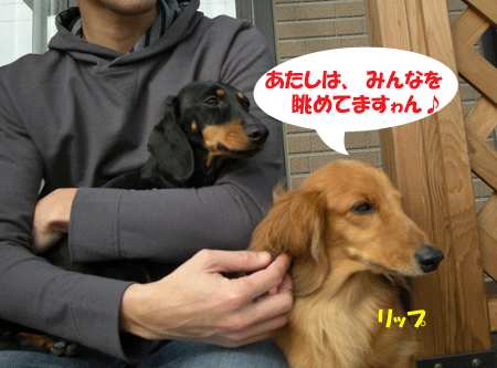 e0066883_19285572.gif