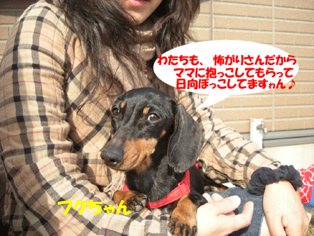 e0066883_19291658.gif