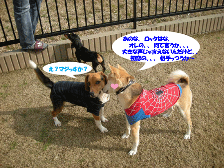 e0066883_1985996.gif