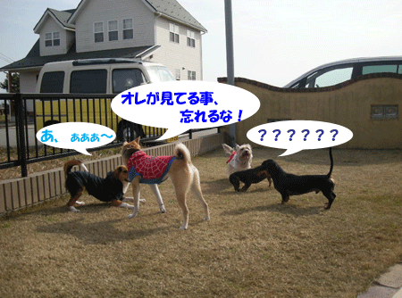 e0066883_1992288.gif