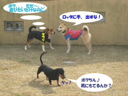 e0066883_1993435.gif