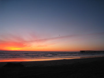 f0068883_1556999.jpg