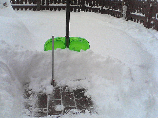 a0007388_10412874.jpg