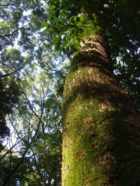 e0111793_1505977.jpg