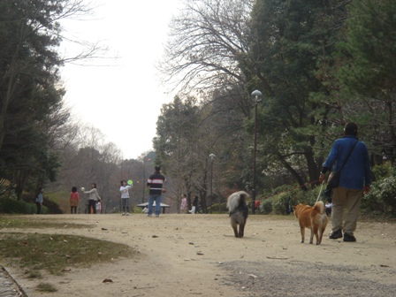 e0111793_15355414.jpg