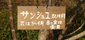 e0111793_15401735.jpg
