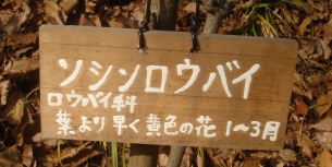 e0111793_15411129.jpg