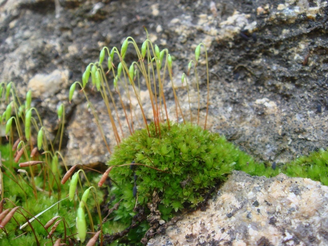 e0111793_1544208.jpg