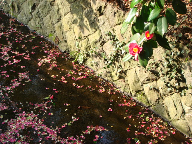 f0137694_23481658.jpg