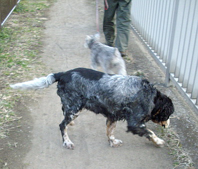 c0138198_20384914.jpg