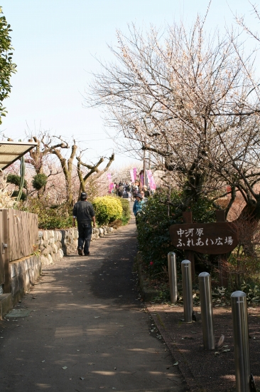 d0112003_711316.jpg