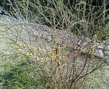 c0017505_14214820.jpg