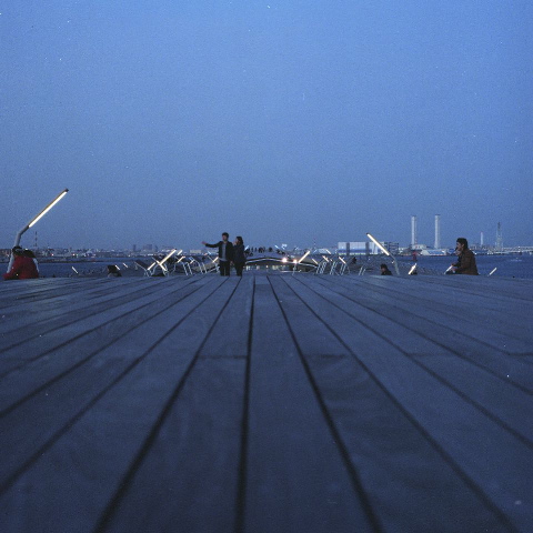 d0119505_854556.jpg