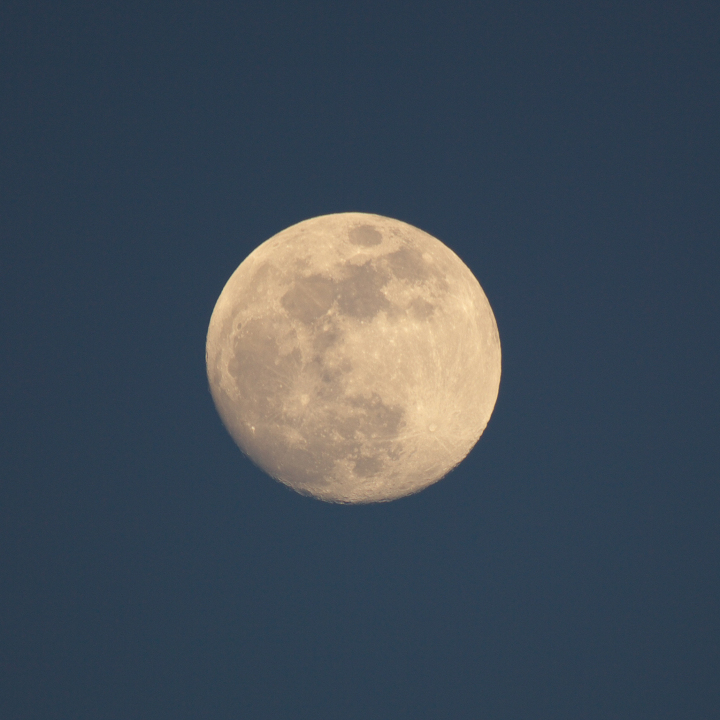 e0162105_17152839.jpg