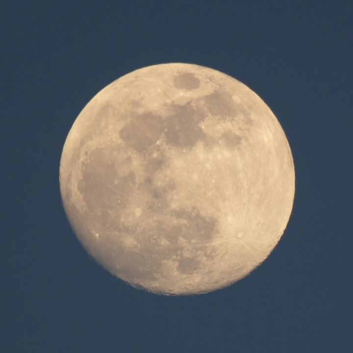 e0162105_17203689.jpg