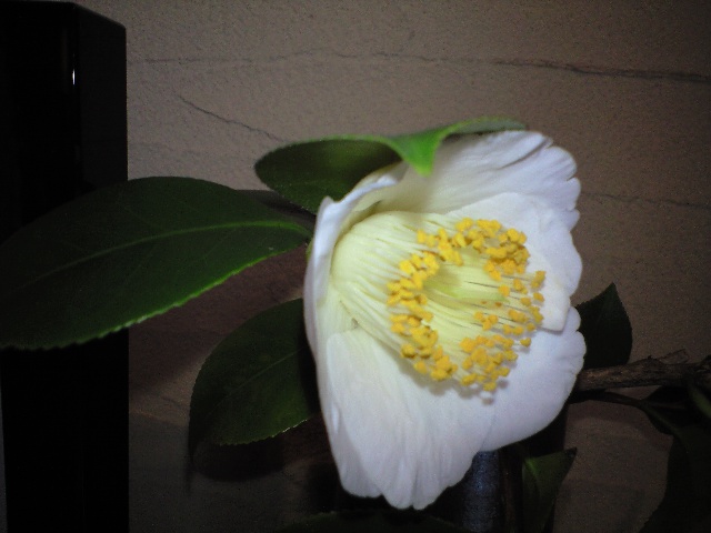 d0000607_1815336.jpg