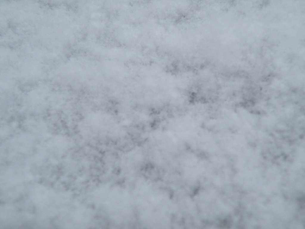 e0015108_7124165.jpg