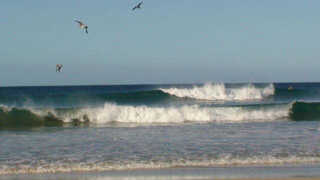 f0116314_1102297.jpg