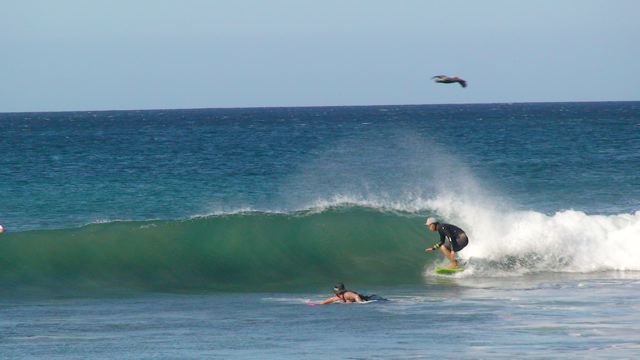 f0116314_1123232.jpg