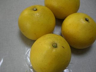 b0073616_1926852.jpg