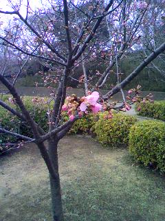 c0150520_13512449.jpg