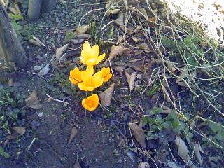 c0150520_13513773.jpg