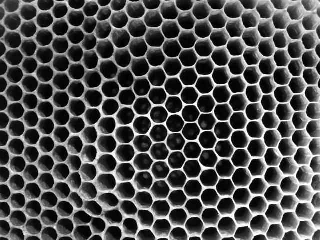 c0182221_17583647.jpg